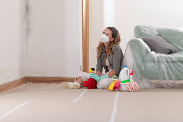 Reliable Mold Remediation contractor in Weehawken, NJ by Car Mold Remediation